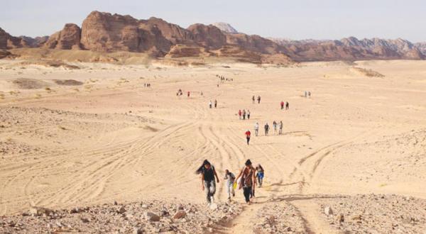 گردشگران در صحرای سینا 