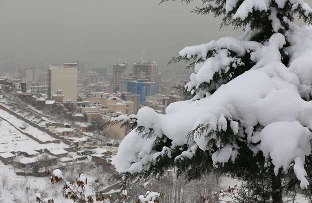 سرمای بی سابقه ایران و نگرانی های کشاورزان