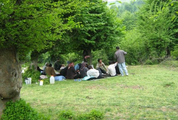 حفظ محیط زیست مسئله ای جهانی است
