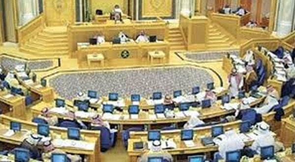 مجلس عربستان: زیان های بیمه اجتماعی عامل تصویب سیستم پشتیبان نبوده است