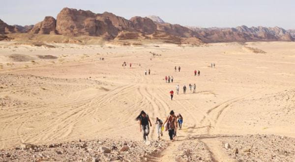 «پل ملک سلمان» و دو پروژه «وعده شمال» و «استخراج معادن» توسعه در سینا را متحول خواهند کرد