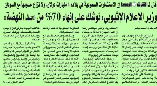 وزارت خارجه مصر: از آدیس آبابا اطمینان خاطر گرفتیم