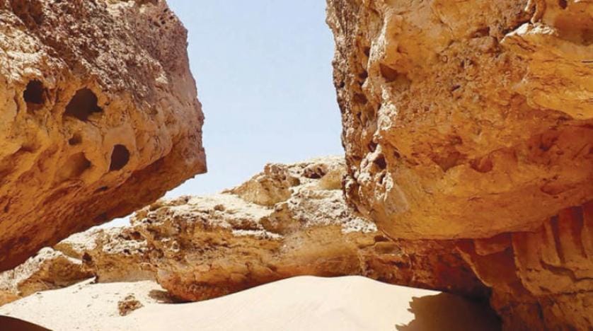 آغاز عملیات اکتشاف زیست محیطی وباستانی پروژه نیوم