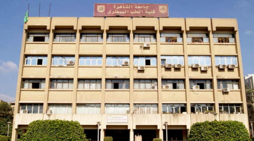 پژوهش مصری: صید الکتریکی ماهی روشی ایمن است