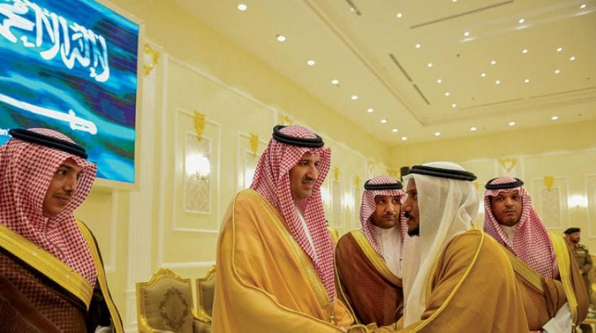 شاهزاده فیصل بن سلمان: تأسیس مجتمع پتروشیمی به توسعه پایدار کمک می‌کند