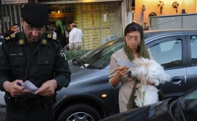 طرح نمایندگان مجلس ایران: شلاق و جریمه سنگین نقدی برای نگهداری سگ