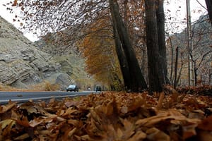 آخر هفته در یکی از زیباترین جاده های جهان؛ چالوس