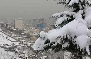 سرمای بی سابقه ایران و نگرانی های کشاورزان