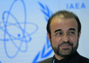 ایران: در توافق نهایی هسته ای، موضوع ایران از دستور کار شورای امنیت حذف می شود