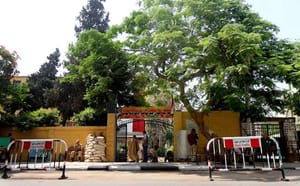 حرف‌های زیبای بازرگان مصری