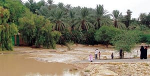 جذبه جایگاه عربستان