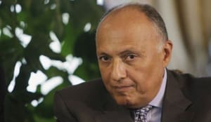 مصر خواستار استراتژی جهانی مبارزه با تروریسم شد