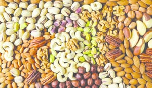 موفقیت آجیل و خشکبار لبنانی در آزمون کنترل کیفیت