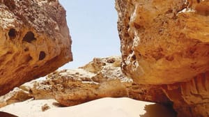 آغاز عملیات اکتشاف زیست محیطی وباستانی پروژه نیوم