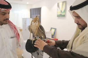 باشگاه شاهین های شکاری سعودی برای بزرگ ترین نمایشگاه آماده می شود