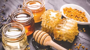تکنولوژی هوشمند برای تشخیص عسل واقعی و تقلبی