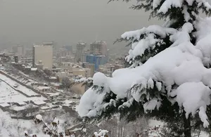 سرمای بی سابقه ایران و نگرانی های کشاورزان