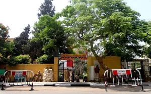 حرف‌های زیبای بازرگان مصری